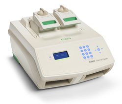 BIO-RAD伯乐梯度PCR仪 S1000